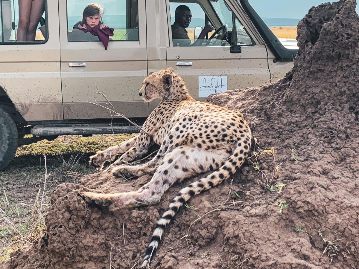 Foresight Eco Lodge & Safari カラトゥ エクステリア 写真